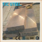 C17200 Bronze Plate/ Coil/ Strip