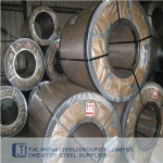 ASTM A240/ A240M 316(UNS S31600) Pressure Vessel Stainless Steel Plate/ Coil/ Strip